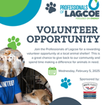 Image for PoL Volunteer at Animal Shelter